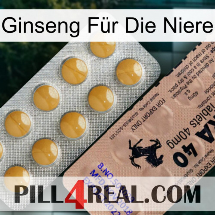 Ginseng Für Die Niere 41